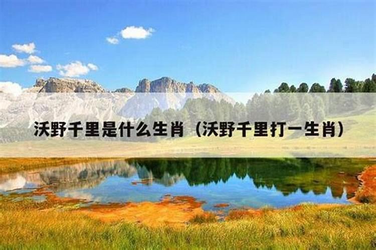 二字经麦子是什么生肖