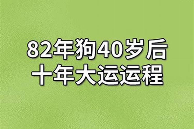 82年出生今年感情运势怎么样