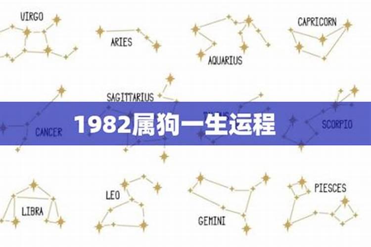 今年1982属狗三月初一运程