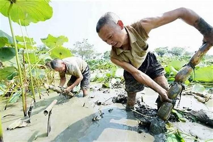 梦见死去的父亲抱自己自己在挣扎