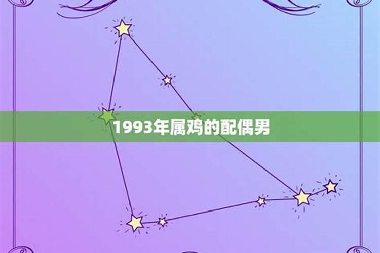 1993年出生男人运势