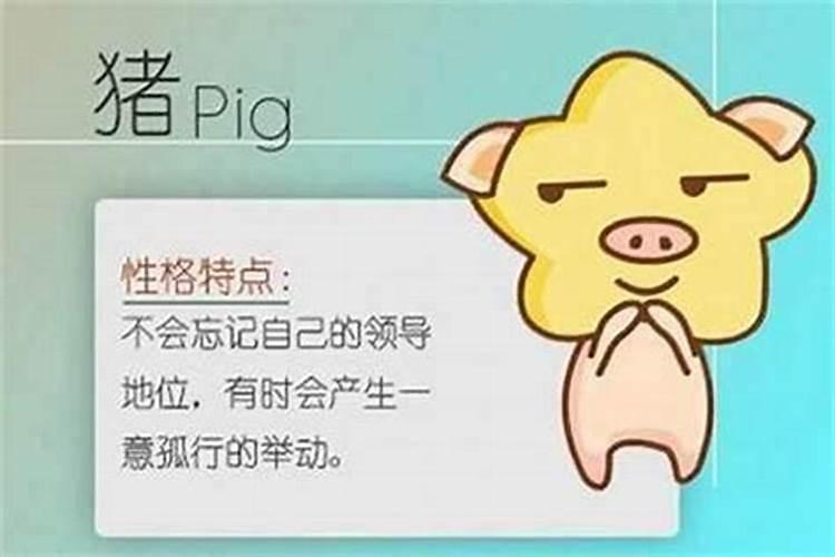 95属猪适合什么职业