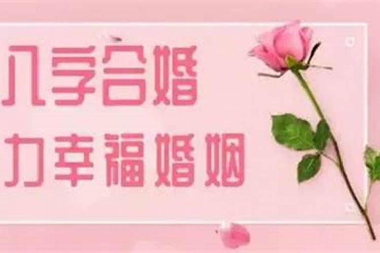 合婚单份不可迁什么意思