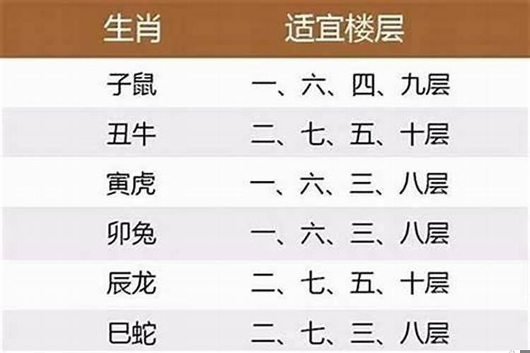 你的生肖最适合住几楼