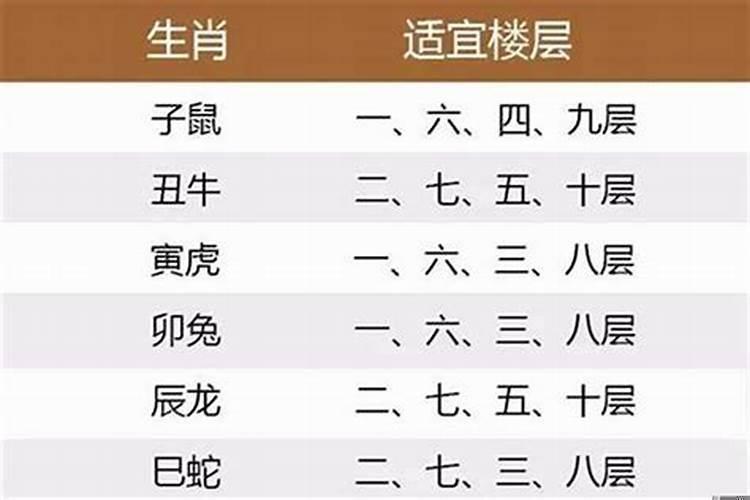 你的生肖最适合住几楼