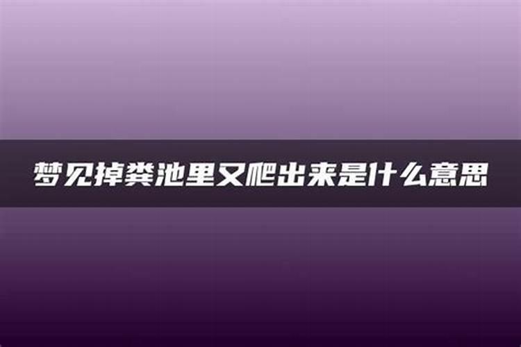 梦到跳下去有垃圾的出口