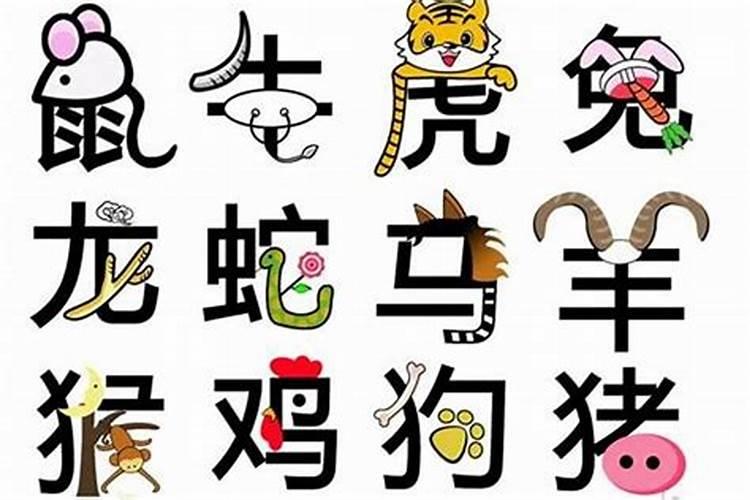 合不合看属相还是八字