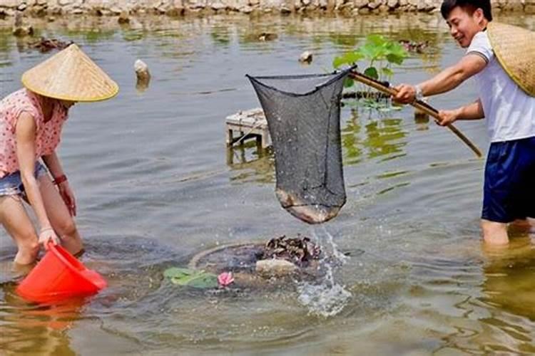 梦见发洪水有好多死鱼