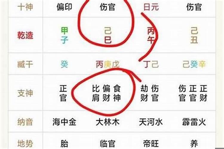 丙申伤官运是什么意思