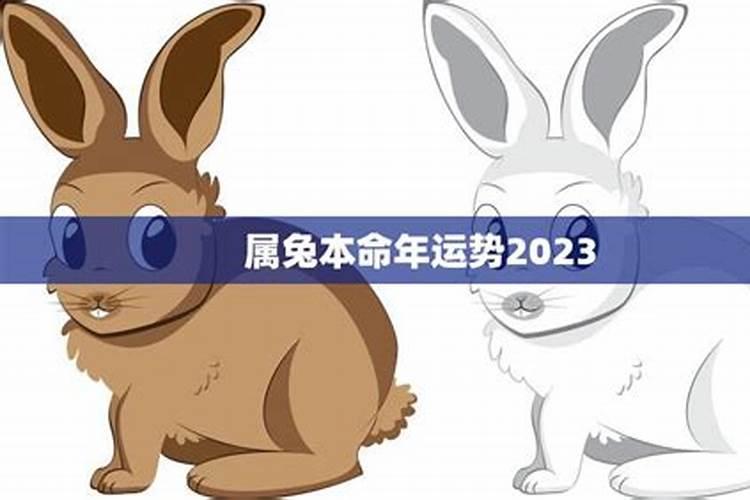 2023年属兔本命年运势