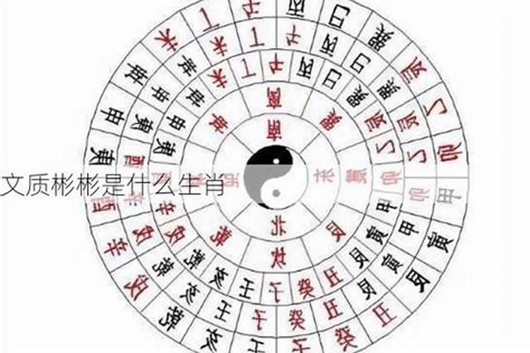 文质彬彬打一数字生肖