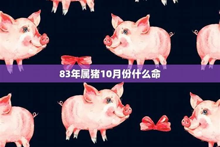 属猪的10月份运程怎么样