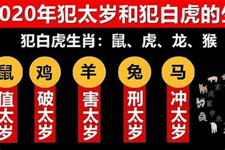 2020犯太岁有哪几个属相