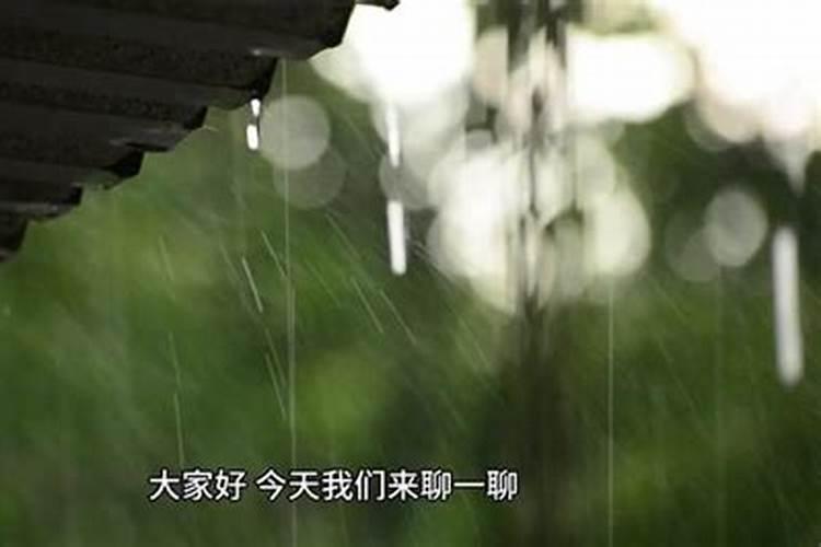 梦见龙在地上下着大雨