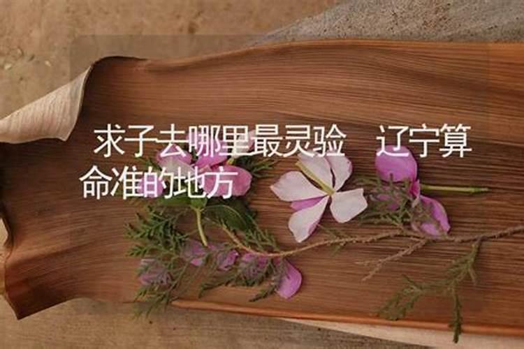 辽阳哪有皮八字算命的