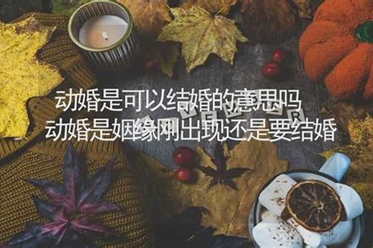 算命说动姻缘是什么意思