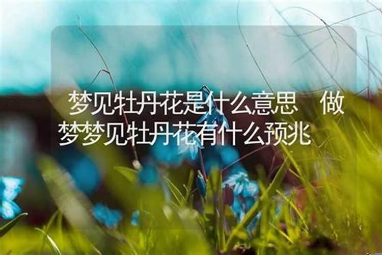 梦见灰色的花是什么意思