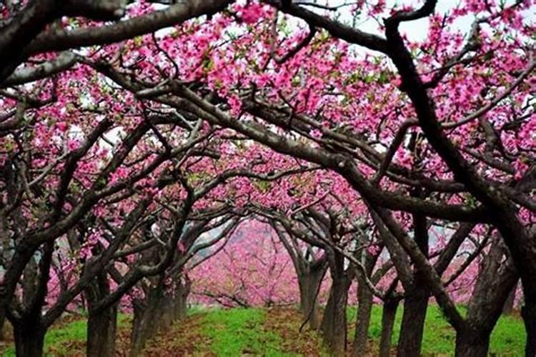 清明节新坟填土吗