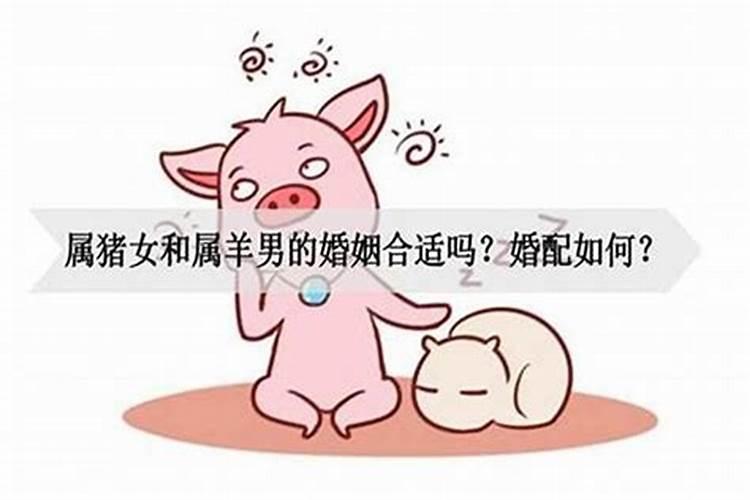 男狗女猪属相婚配可以吗