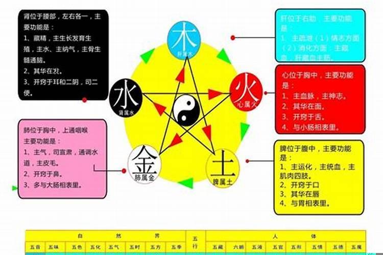 内经运用五行学说的最大特点是什么