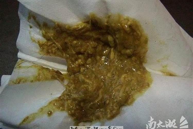 做梦梦见很恶心的屎拉裤子里