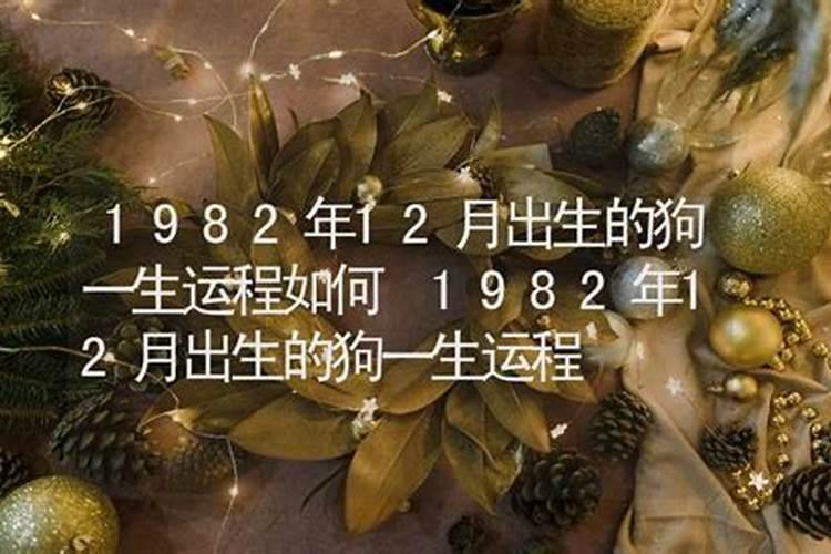 1990年12月今年运势如何