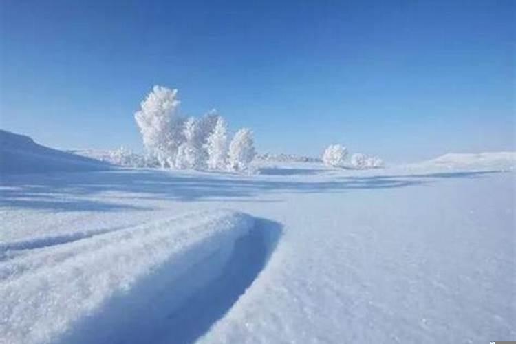 梦见好多雪是什么意思