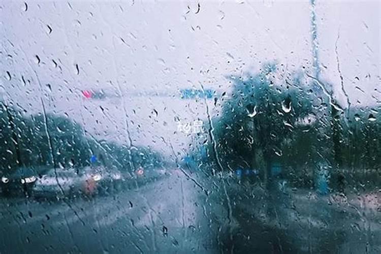 怀孕梦见下雨淋湿自己的衣服