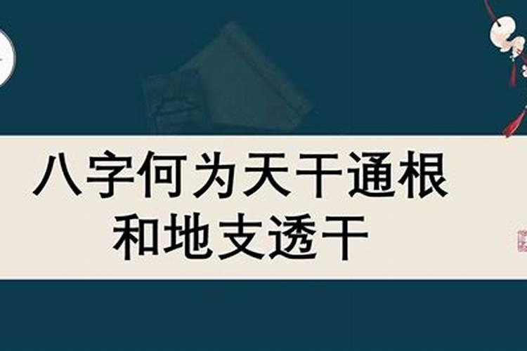 八字算命什么为根