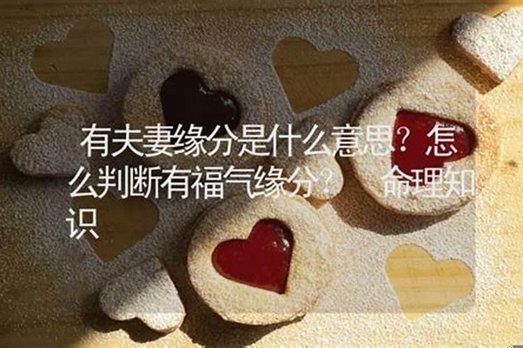 夫妻缘份浅什么意思