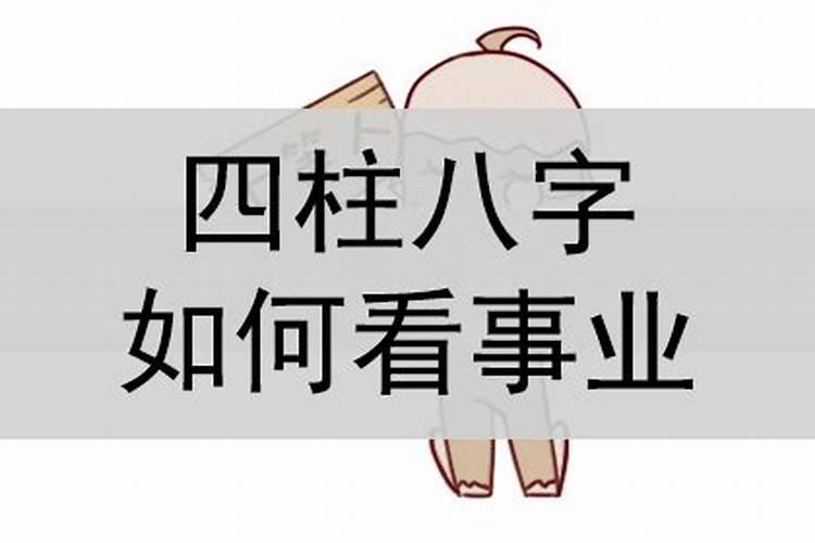 八字哪柱可断职业