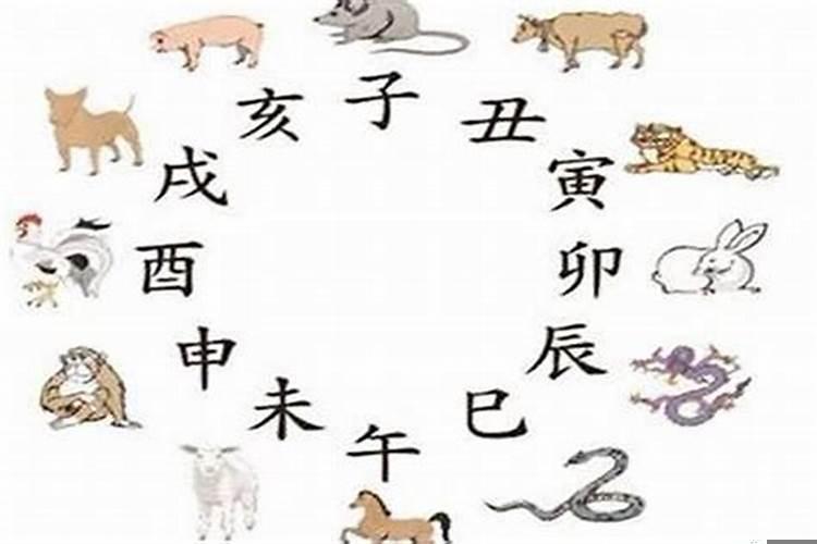 生肖属蛇的跟属猪的八字合不合