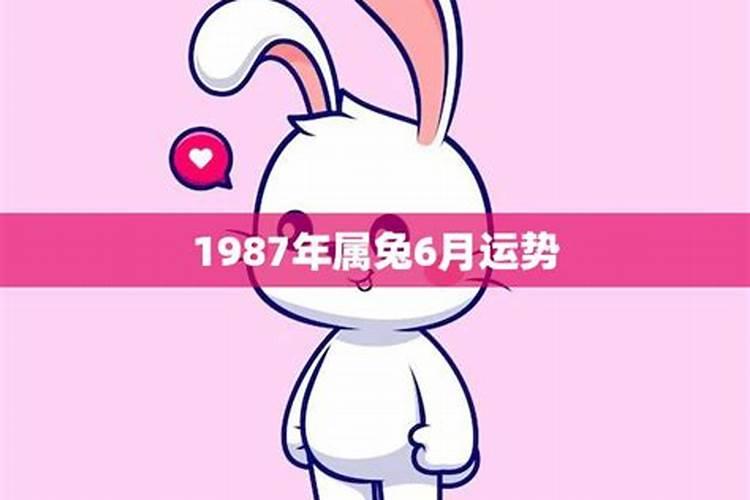 1987年生肖属兔运程如何