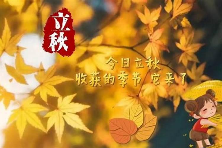 今年的立秋是公历哪一天