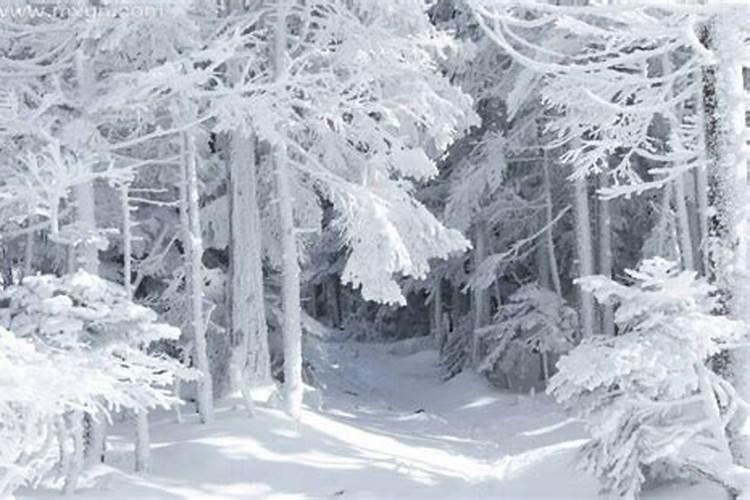 梦见男邻居在冰天雪地里