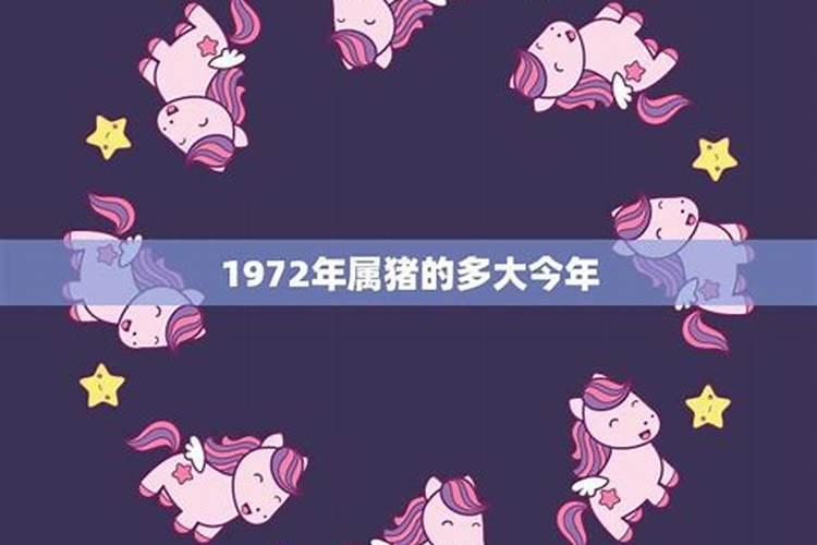 1972年属猪运势如何