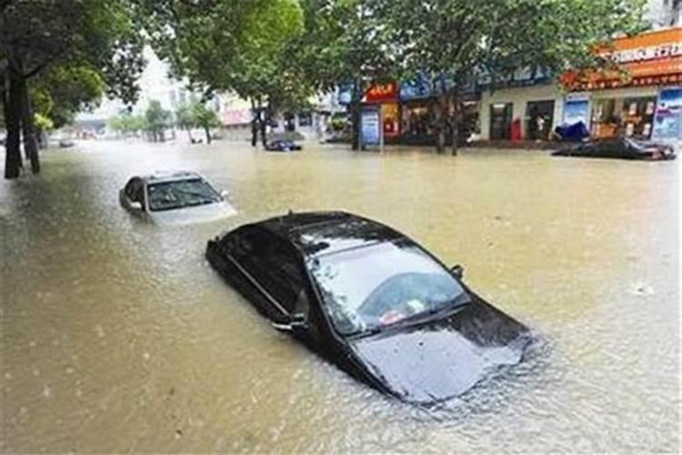 本命年的人梦见下雨