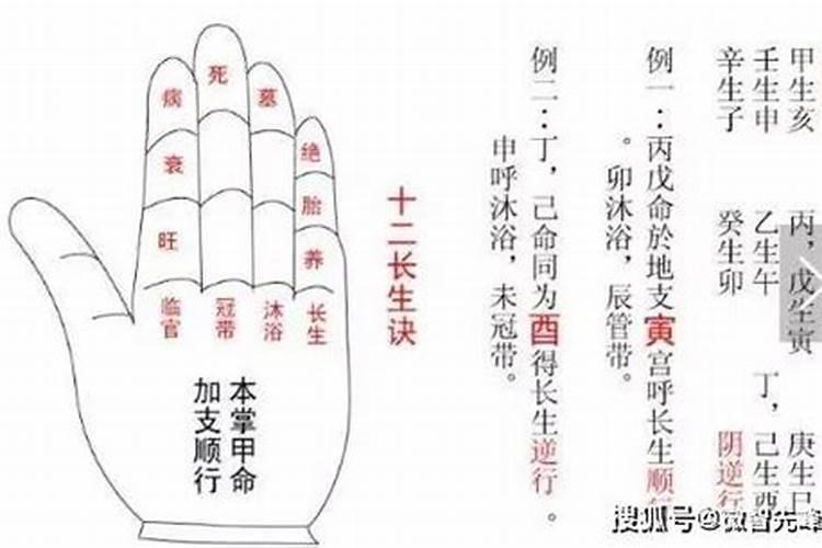 八字旺衰死墓绝详解