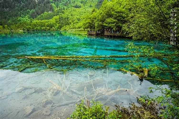 梦见湖水清澈见底而且很深