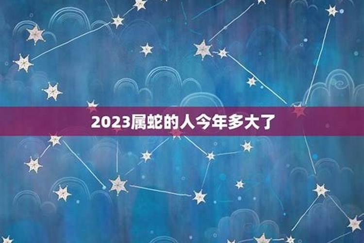 属蛇人今年的运程