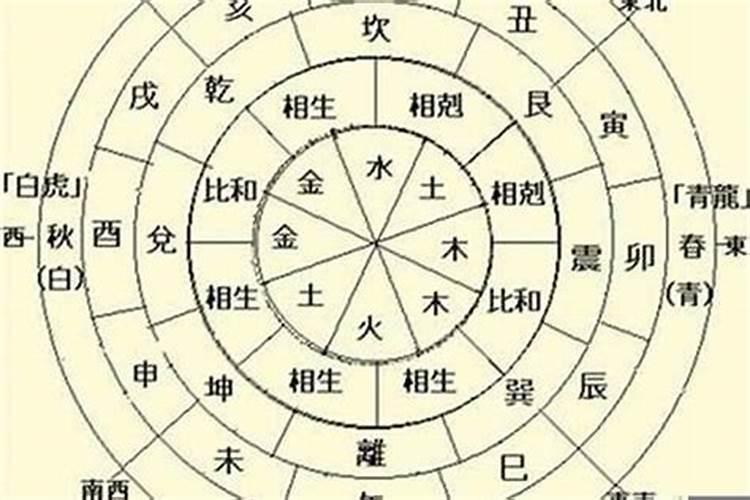 八字中天干地支的关系