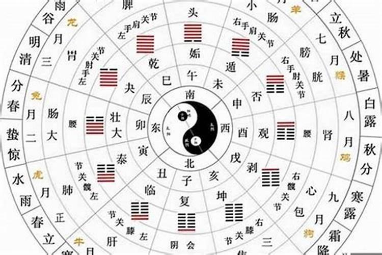 甲戌戊辰丙戌戊子八字