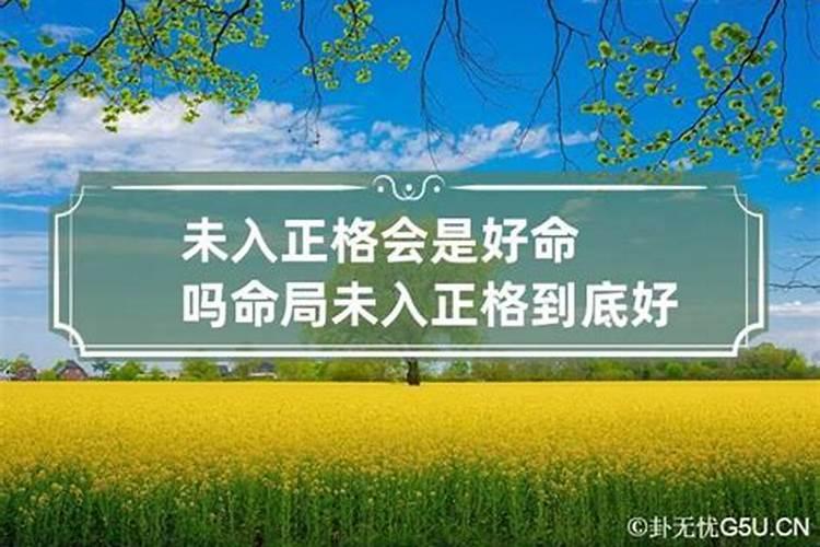 八字入格是什么意思