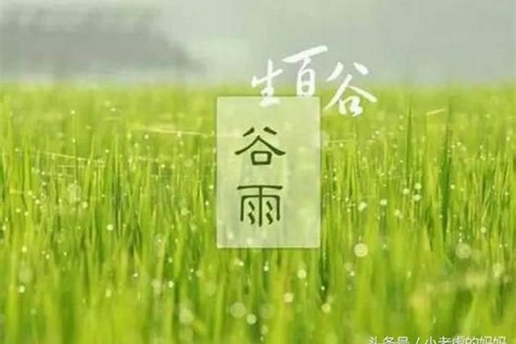 清明谷雨在几月份