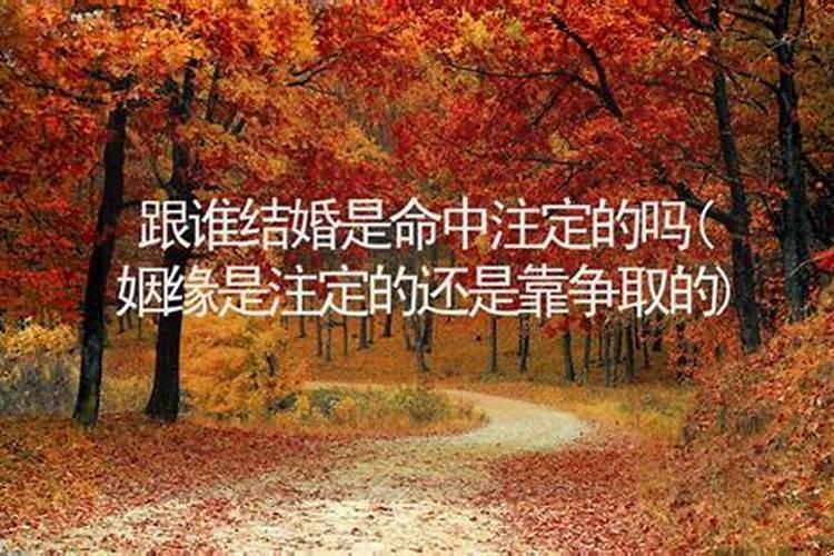 跟什么人结婚早已命中注定