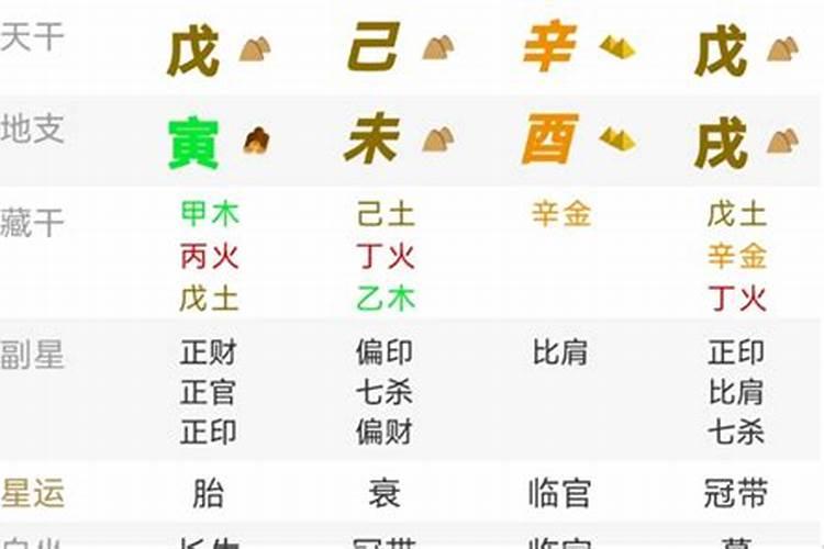 生辰八字从不从什么意思