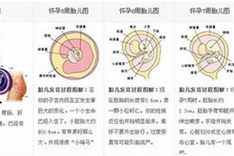 梦见死了的人又生病了是什么意思