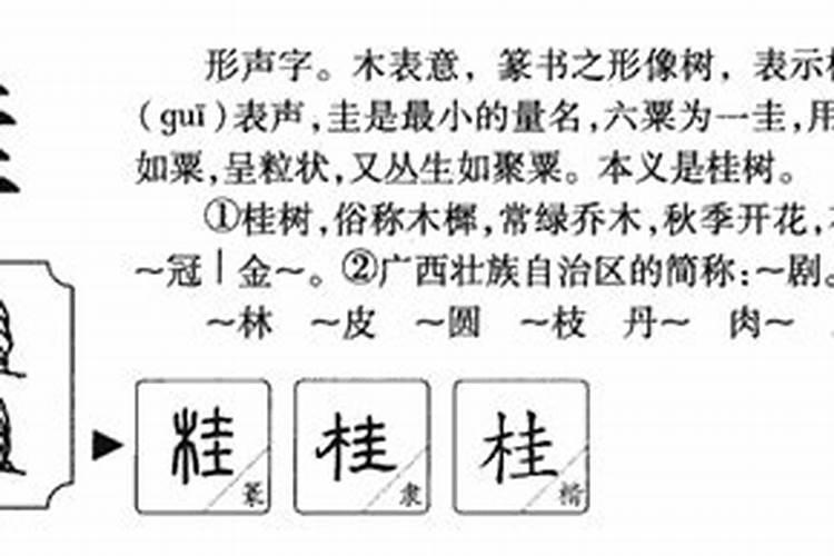 生辰八字的桂有怎么写