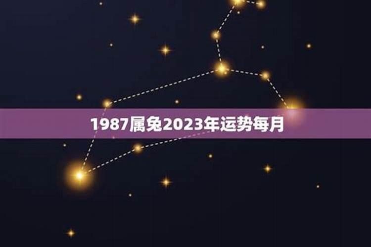 1987年属兔今年多少岁了呀