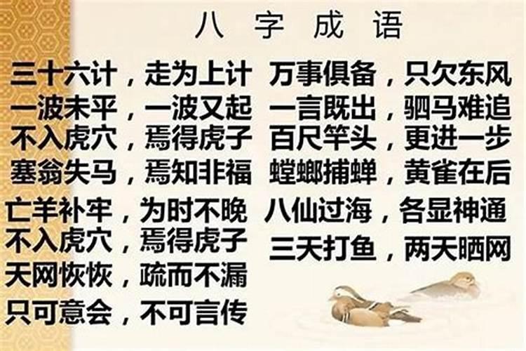 八字命理分几派和几派